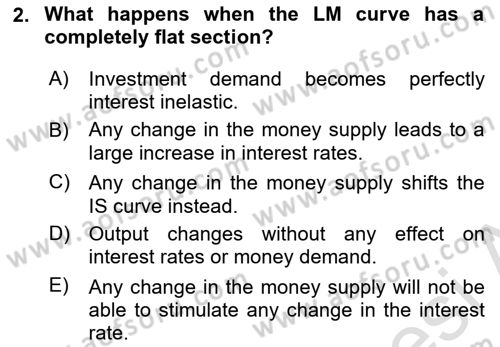 Macroeconomic Theory Dersi 2025 - 2026 Yılı (Vize) Ara Sınav Soruları 2. Soru