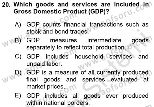 Macroeconomic Theory Dersi 2025 - 2026 Yılı (Vize) Ara Sınav Soruları 20. Soru