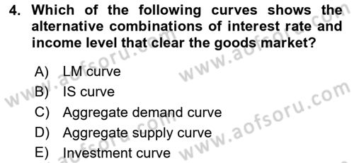 Macroeconomic Theory Dersi 2025 - 2026 Yılı (Vize) Ara Sınav Soruları 4. Soru