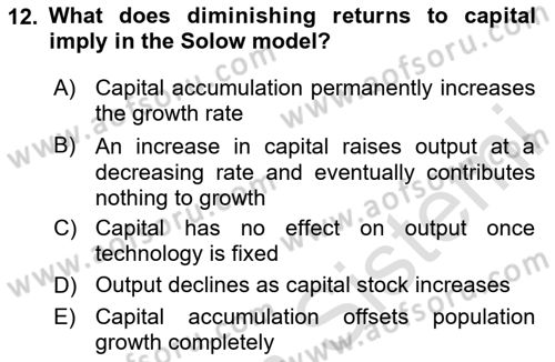Macroeconomic Theory Dersi 2025 - 2026 Yılı (Final) Dönem Sonu Sınav Soruları 12. Soru