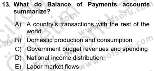 Macroeconomic Theory Dersi 2025 - 2026 Yılı (Final) Dönem Sonu Sınav Soruları 13. Soru