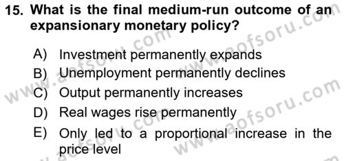 Macroeconomic Theory Dersi 2025 - 2026 Yılı (Final) Dönem Sonu Sınav Soruları 15. Soru
