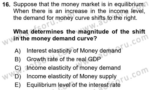 Macroeconomic Theory Dersi 2025 - 2026 Yılı (Final) Dönem Sonu Sınav Soruları 16. Soru