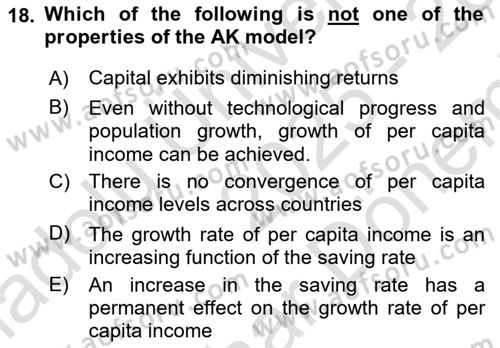 Macroeconomic Theory Dersi 2025 - 2026 Yılı (Final) Dönem Sonu Sınav Soruları 18. Soru