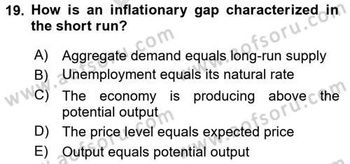 Macroeconomic Theory Dersi 2025 - 2026 Yılı (Final) Dönem Sonu Sınav Soruları 19. Soru