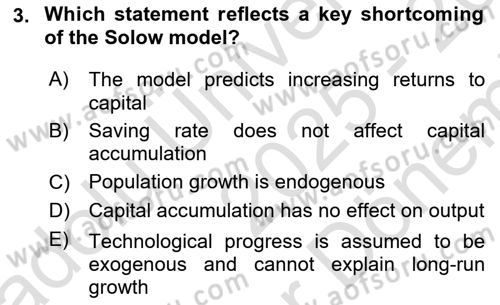 Macroeconomic Theory Dersi 2025 - 2026 Yılı (Final) Dönem Sonu Sınav Soruları 3. Soru