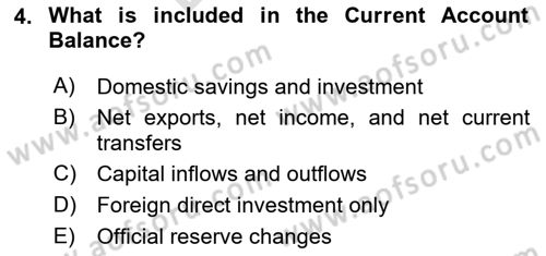 Macroeconomic Theory Dersi 2025 - 2026 Yılı (Final) Dönem Sonu Sınav Soruları 4. Soru