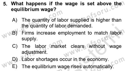 Macroeconomic Theory Dersi 2025 - 2026 Yılı (Final) Dönem Sonu Sınav Soruları 5. Soru