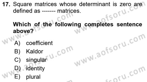 Mathematical Economics Dersi 2024 - 2025 Yılı (Vize) Ara Sınav Soruları 17. Soru