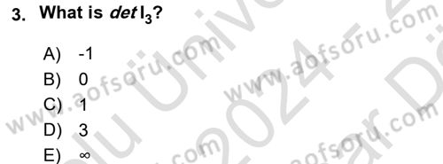 Mathematical Economics Dersi 2024 - 2025 Yılı (Vize) Ara Sınav Soruları 3. Soru