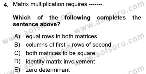 Mathematical Economics Dersi 2024 - 2025 Yılı (Vize) Ara Sınav Soruları 4. Soru