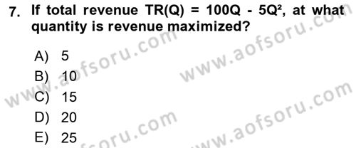 Mathematical Economics Dersi 2024 - 2025 Yılı (Vize) Ara Sınav Soruları 7. Soru