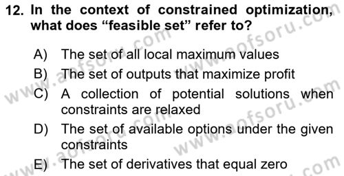 Mathematical Economics Dersi 2024 - 2025 Yılı (Final) Dönem Sonu Sınav Soruları 12. Soru
