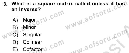 Mathematical Economics Dersi 2024 - 2025 Yılı (Final) Dönem Sonu Sınav Soruları 3. Soru