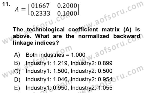 Mathematical Economics Dersi 2024 - 2025 Yılı Yaz Okulu Sınav Soruları 11. Soru