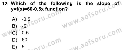 Mathematical Economics Dersi 2024 - 2025 Yılı Yaz Okulu Sınav Soruları 12. Soru