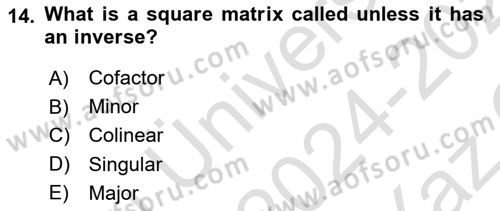Mathematical Economics Dersi 2024 - 2025 Yılı Yaz Okulu Sınav Soruları 14. Soru