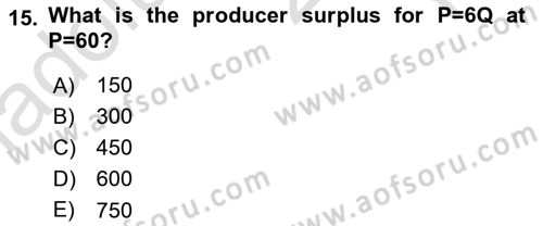 Mathematical Economics Dersi 2024 - 2025 Yılı Yaz Okulu Sınav Soruları 15. Soru