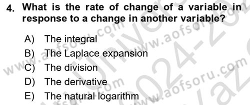 Mathematical Economics Dersi 2024 - 2025 Yılı Yaz Okulu Sınav Soruları 4. Soru