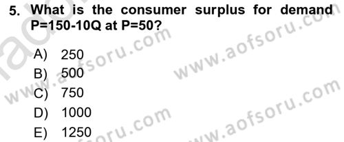Mathematical Economics Dersi 2024 - 2025 Yılı Yaz Okulu Sınav Soruları 5. Soru