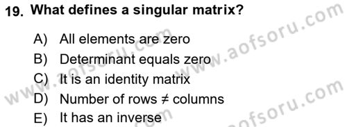 Mathematical Economics Dersi 2025 - 2026 Yılı (Vize) Ara Sınav Soruları 19. Soru