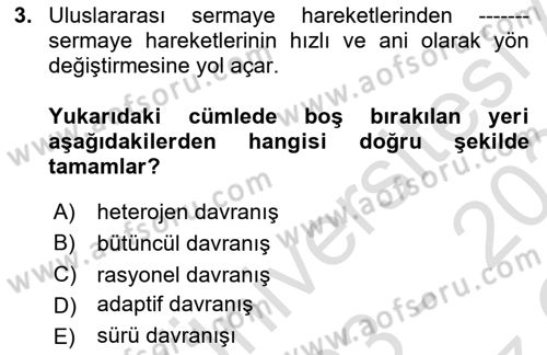 Para ve Banka Dersi 2023 - 2024 Yılı Yaz Okulu Sınav Soruları 3. Soru
