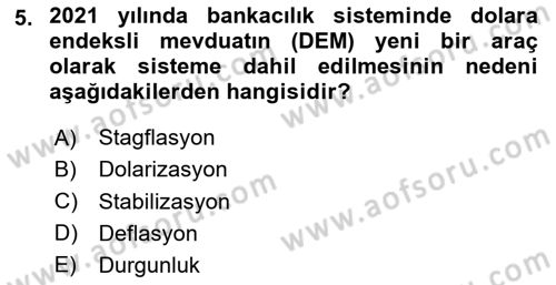 Para ve Banka Dersi 2023 - 2024 Yılı Yaz Okulu Sınav Soruları 5. Soru