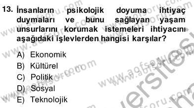 Bilgi Ekonomisi Dersi 2013 - 2014 Yılı (Vize) Ara Sınav Soruları 13. Soru