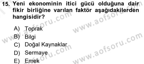 Bilgi Ekonomisi Dersi 2017 - 2018 Yılı (Vize) Ara Sınav Soruları 15. Soru