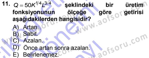 Matematiksel İktisat Dersi 2012 - 2013 Yılı (Final) Dönem Sonu Sınav Soruları 11. Soru