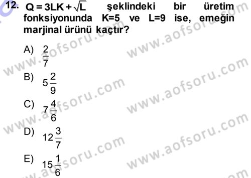 Matematiksel İktisat Dersi 2013 - 2014 Yılı (Final) Dönem Sonu Sınav Soruları 12. Soru