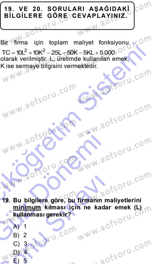 Matematiksel İktisat Dersi 2013 - 2014 Yılı (Final) Dönem Sonu Sınav Soruları 19. Soru