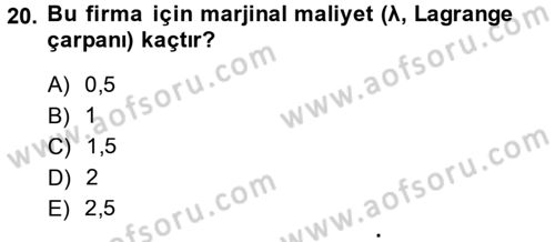 Matematiksel İktisat Dersi 2014 - 2015 Yılı (Final) Dönem Sonu Sınav Soruları 20. Soru