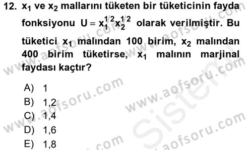 Matematiksel İktisat Dersi 2015 - 2016 Yılı Tek Ders Sınav Soruları 12. Soru