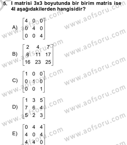 Matematiksel İktisat Dersi 2016 - 2017 Yılı 3 Ders Sınav Soruları 5. Soru