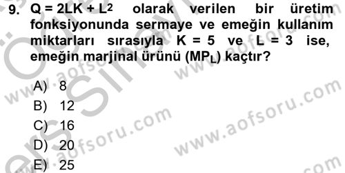 Matematiksel İktisat Dersi 2016 - 2017 Yılı 3 Ders Sınav Soruları 9. Soru