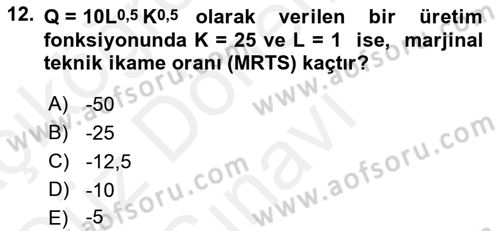 Matematiksel İktisat Dersi 2016 - 2017 Yılı (Final) Dönem Sonu Sınav Soruları 12. Soru