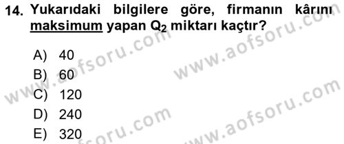 Matematiksel İktisat Dersi 2016 - 2017 Yılı (Final) Dönem Sonu Sınav Soruları 14. Soru