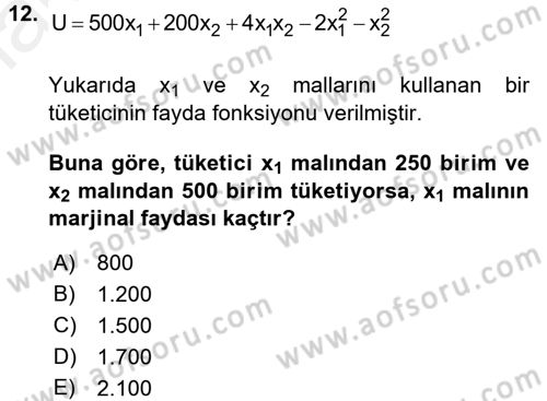 Matematiksel İktisat Dersi 2017 - 2018 Yılı 3 Ders Sınav Soruları 12. Soru
