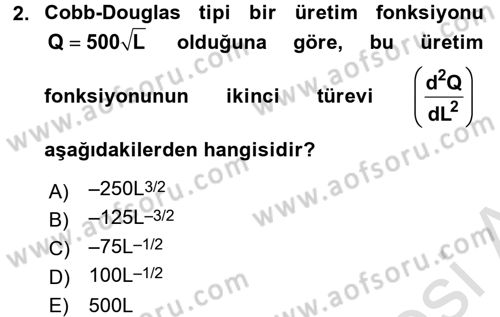 Matematiksel İktisat Dersi Ara Sınavı Deneme Sınav Soruları 2. Soru