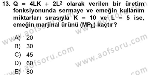 Matematiksel İktisat Dersi 2017 - 2018 Yılı (Final) Dönem Sonu Sınav Soruları 13. Soru