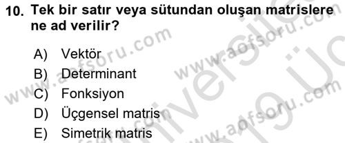 Matematiksel İktisat Dersi 2018 - 2019 Yılı 3 Ders Sınav Soruları 10. Soru