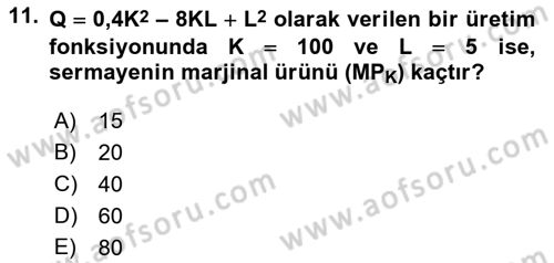 Matematiksel İktisat Dersi 2018 - 2019 Yılı 3 Ders Sınav Soruları 11. Soru