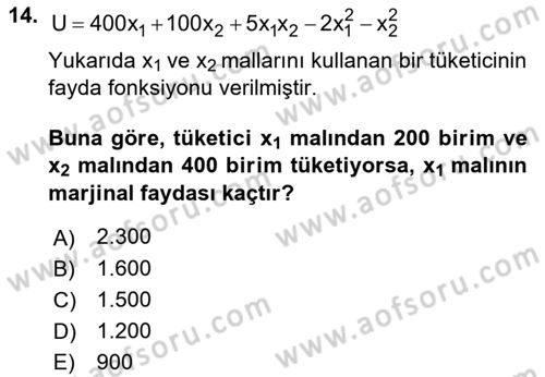 Matematiksel İktisat Dersi 2018 - 2019 Yılı 3 Ders Sınav Soruları 14. Soru
