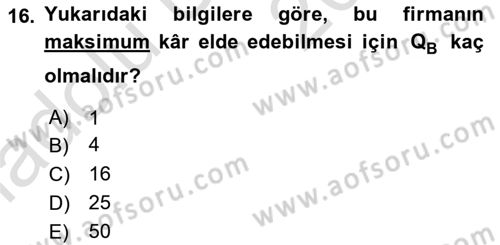 Matematiksel İktisat Dersi 2018 - 2019 Yılı 3 Ders Sınav Soruları 16. Soru