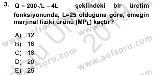 Matematiksel İktisat Dersi 2018 - 2019 Yılı 3 Ders Sınav Soruları 3. Soru