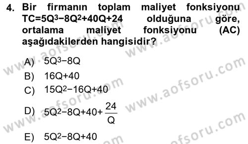 Matematiksel İktisat Dersi 2018 - 2019 Yılı 3 Ders Sınav Soruları 4. Soru