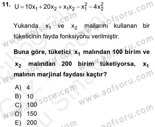 Matematiksel İktisat Dersi 2018 - 2019 Yılı (Final) Dönem Sonu Sınav Soruları 11. Soru