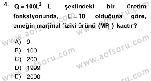 Matematiksel İktisat Dersi 2018 - 2019 Yılı (Final) Dönem Sonu Sınav Soruları 4. Soru