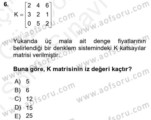 Matematiksel İktisat Dersi 2018 - 2019 Yılı (Final) Dönem Sonu Sınav Soruları 6. Soru